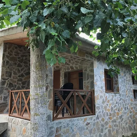 Pirinenc Campdevánol